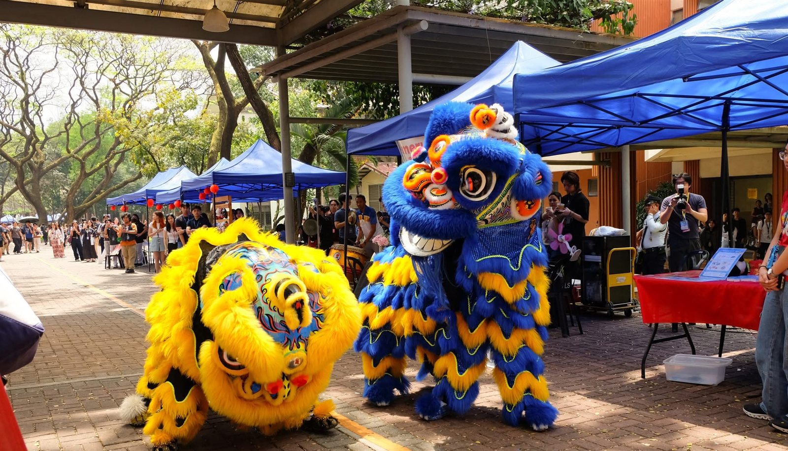 Chinese New Year